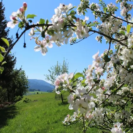 דירה Attraktive In Franken Mit Garten Weissenbrunn